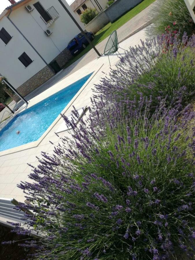 House Kalepin Appartement *